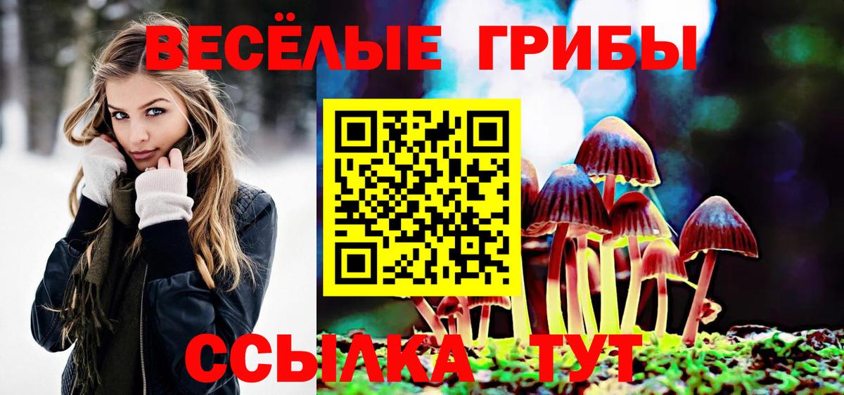 Псилоцибиновые грибы MAGIC MUSHROOMS  Вход с VPN  Гуково 