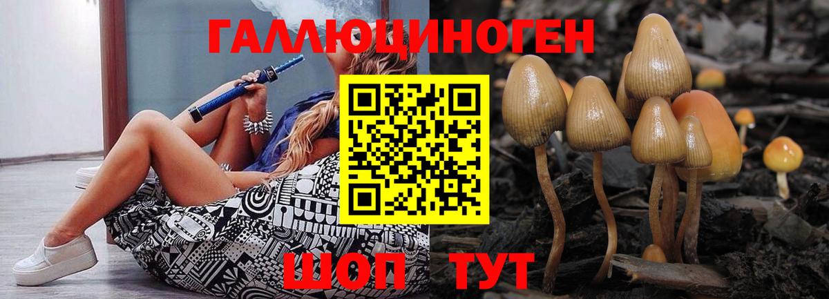 Галлюциногенные грибы Magic Shrooms Гуково